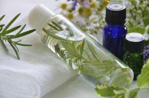 A bottle of rosemary lotion.