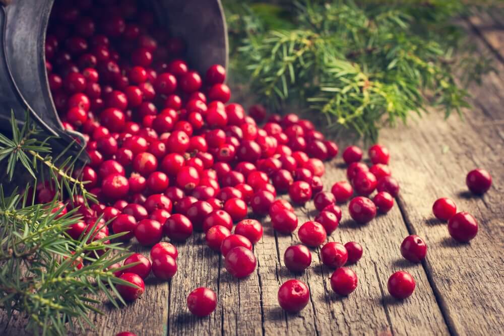 Hausmittel bei Phlebitis - Cranberries
