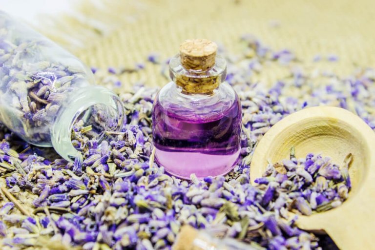 How to make and use lavender oil