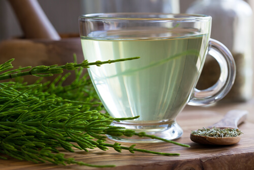 Cup of horsetail tea on a table