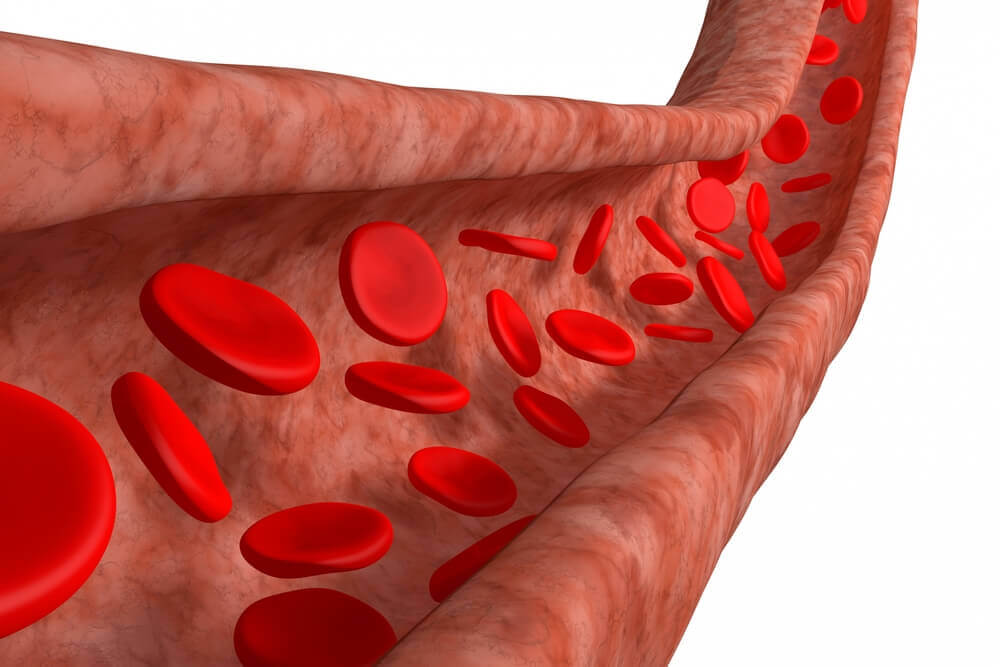 blood cells