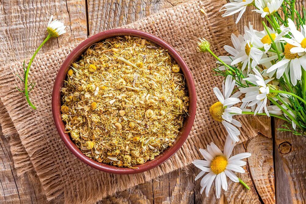 Dried chamomile flowers