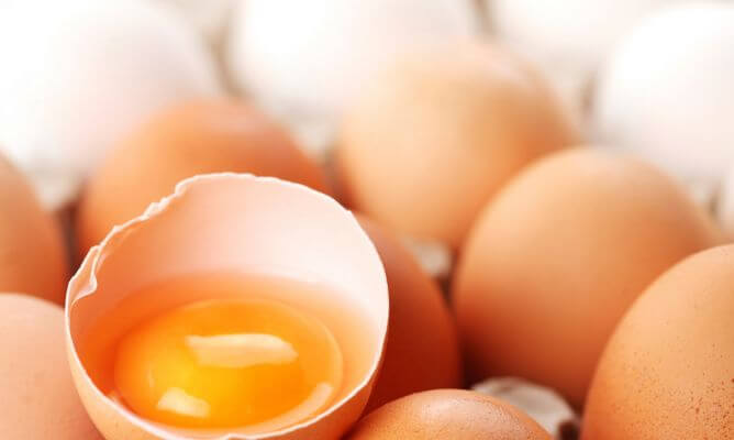 Egg yolk for fighting against macular degeneration