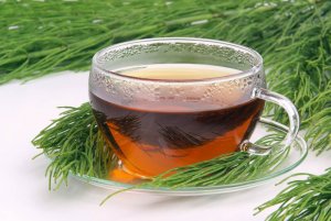 What is Horsetail and What is it Good For?