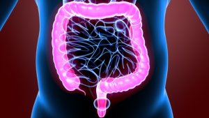 The Incredible Physiology of the Large Intestine