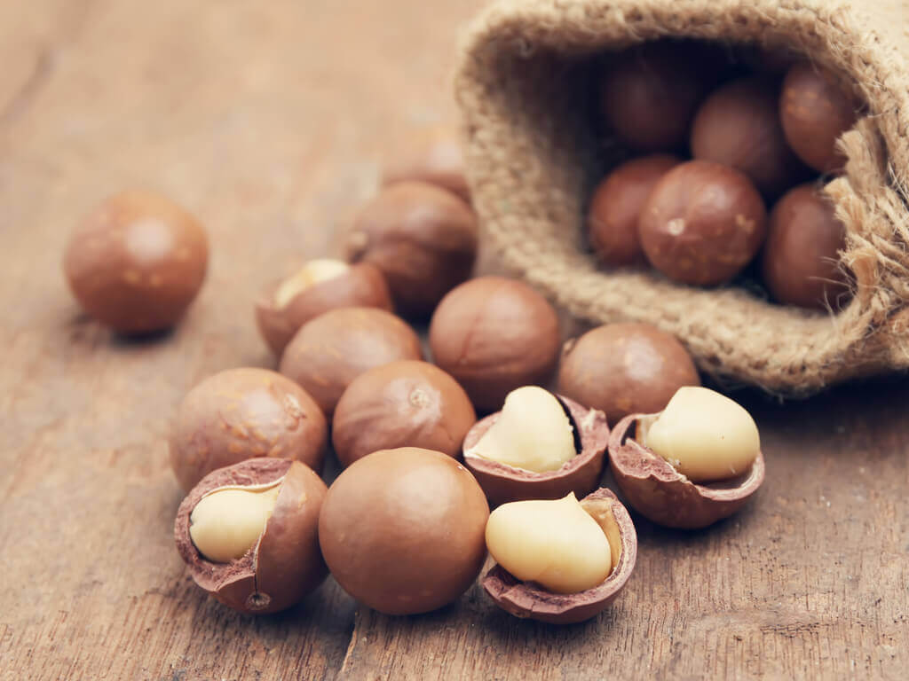 macadamia nuts