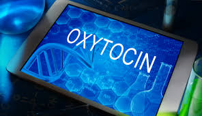 oxytocin hormone