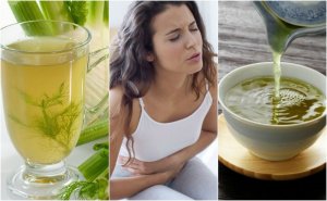 5 Plant-Based Teas for Fighting Indigestion