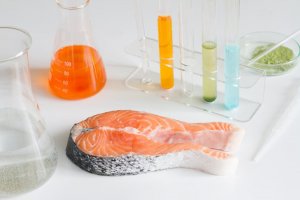 6 Types of Risky Fish that You Should Never Eat