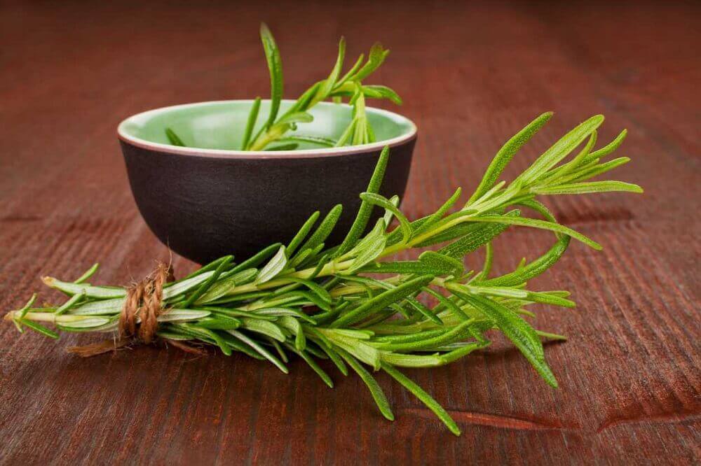Fresh rosemary sprigs.