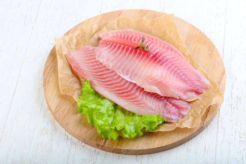 tilapia