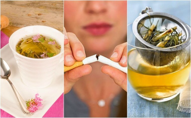 How to Calm Tobacco Cravings with 5 Plant-Based Teas