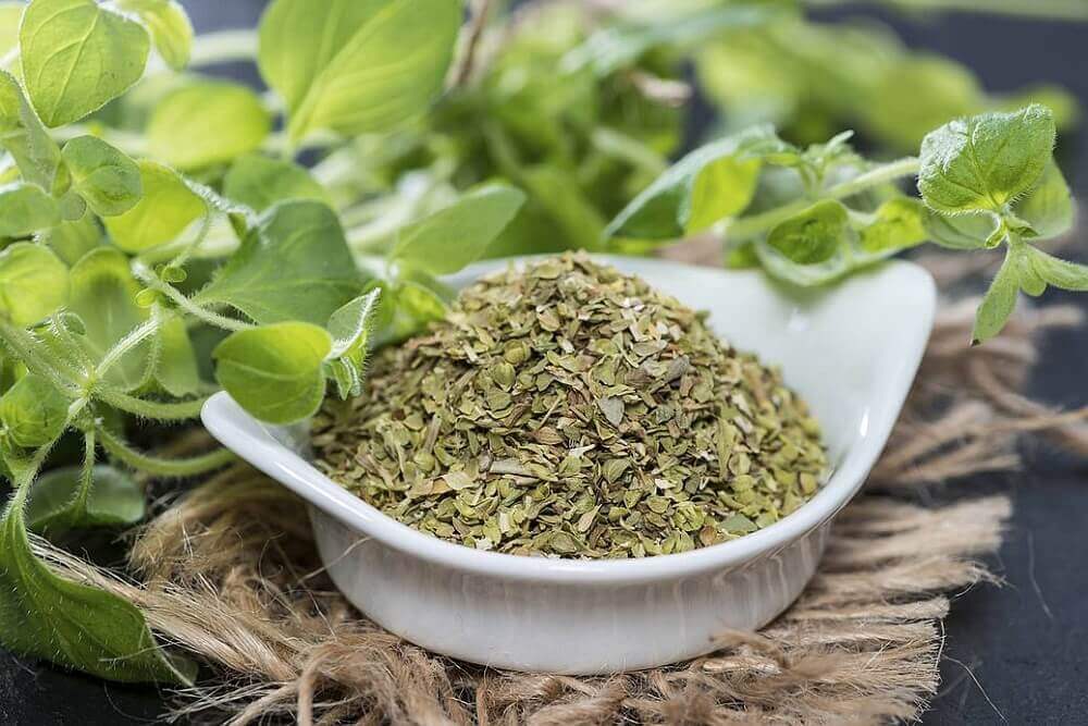Oregano tea