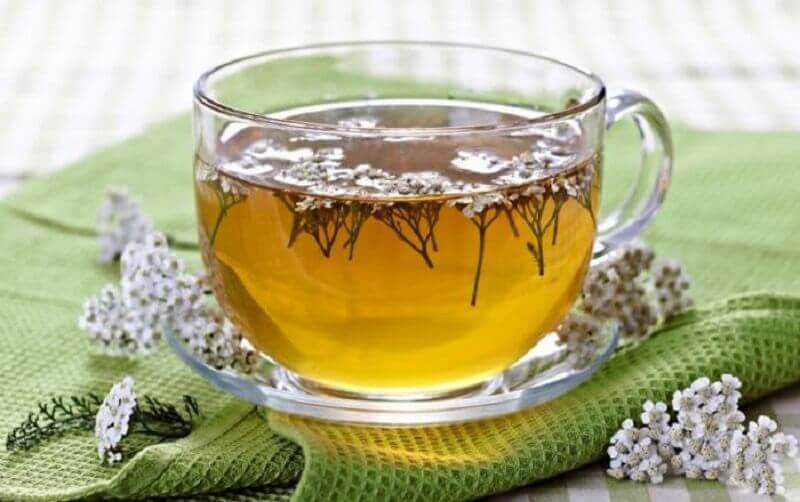 Thee van duizendblad voor als je kind een slechte eetlust heeft