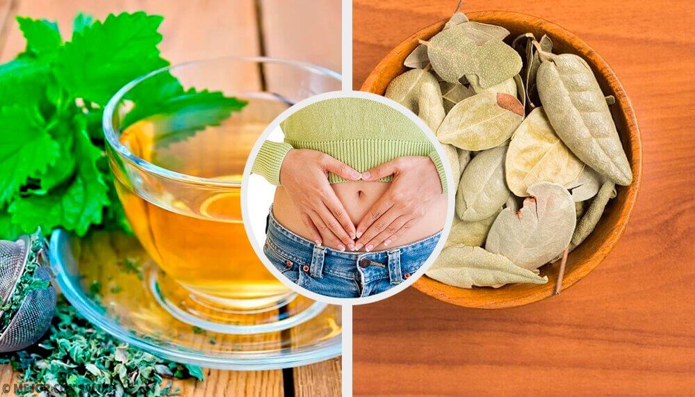 Five Herbs to Improve Digestive Problems