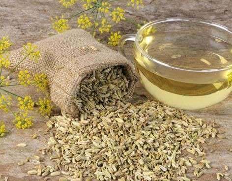 Three Fennel Tea Recipes for Weight Loss
