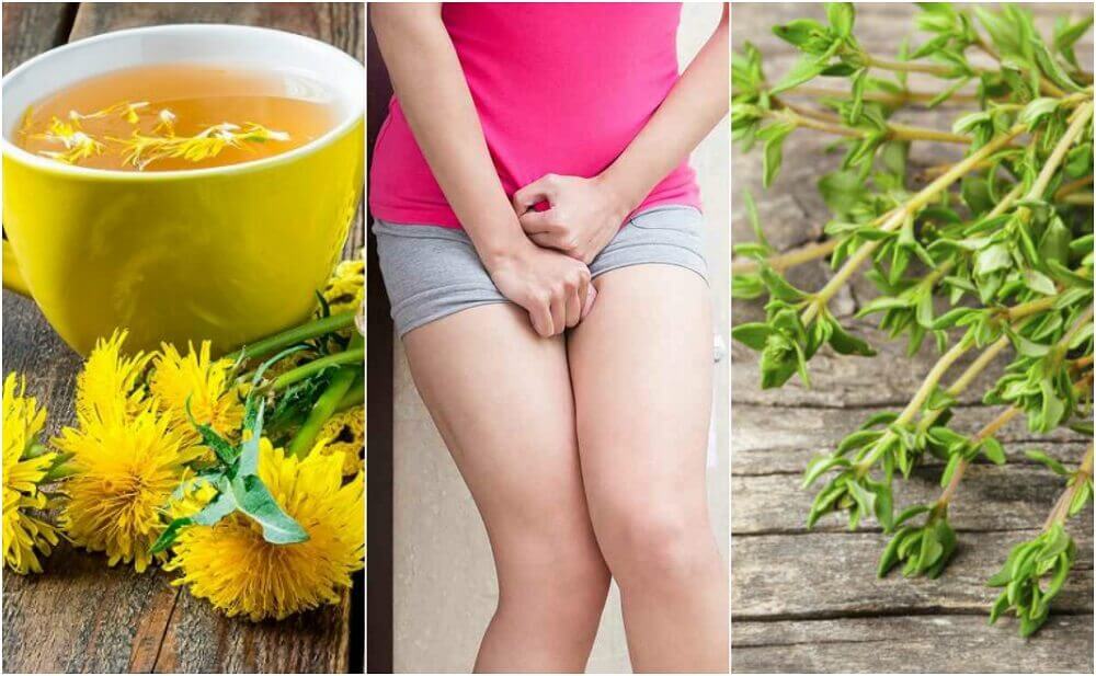 5 Herbal Treatments to Calm Cystitis