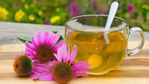 Treatments for Cystitis