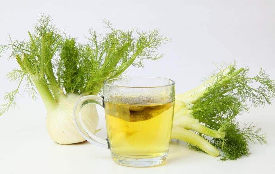 Fennel tea with fresh leaves