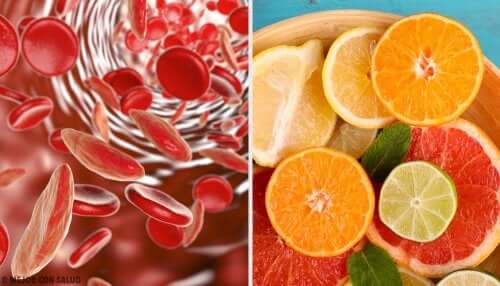 5 Ways to Increase Iron Levels in Your Blood