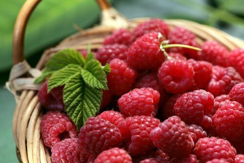 Raspberries-food-to-eat-in-unlimited-quantities