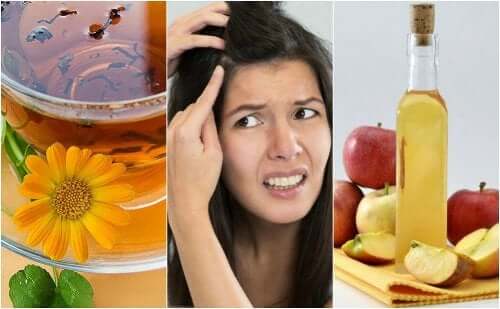 5 Natural Remedies to Soothe a Sensitive Scalp