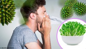 6 Benefits from Eating Alfalfa