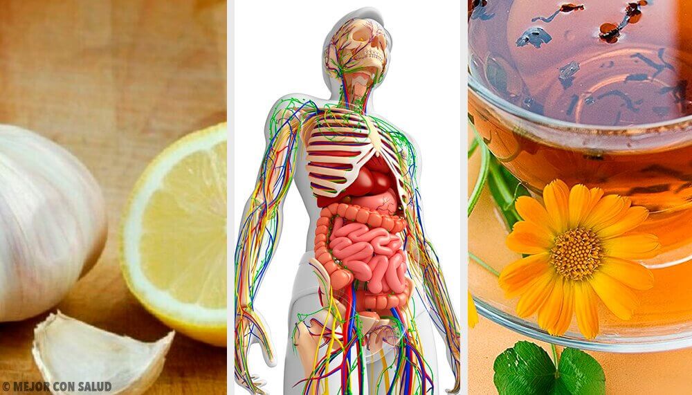 6 Natural Remedies to Detoxify the Lymphatic System