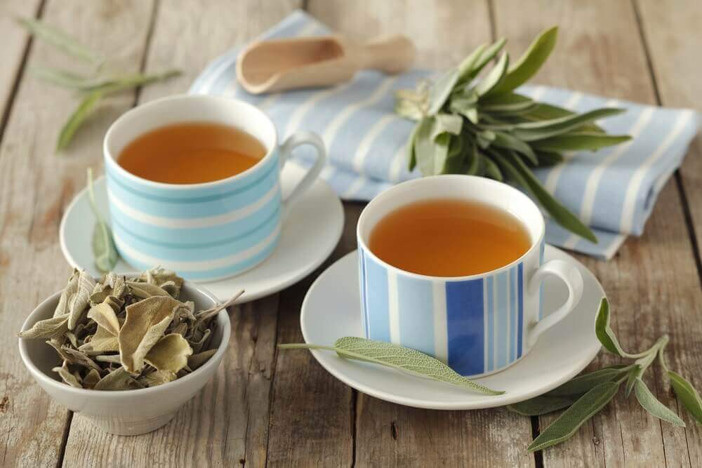 7 Healing Properties of Sage