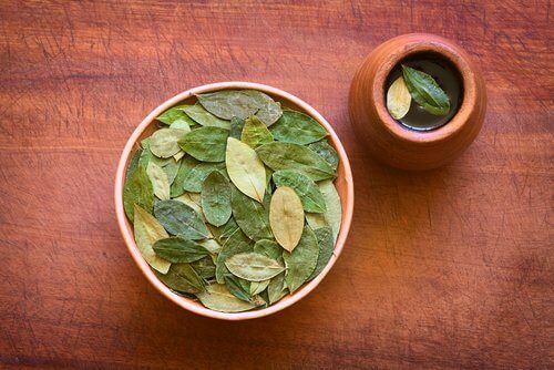 Coca Leaf Infusion and Its Surprising Health Benefits