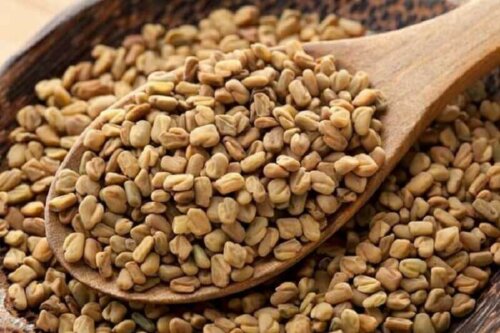Infusion of Fenugreek Seeds