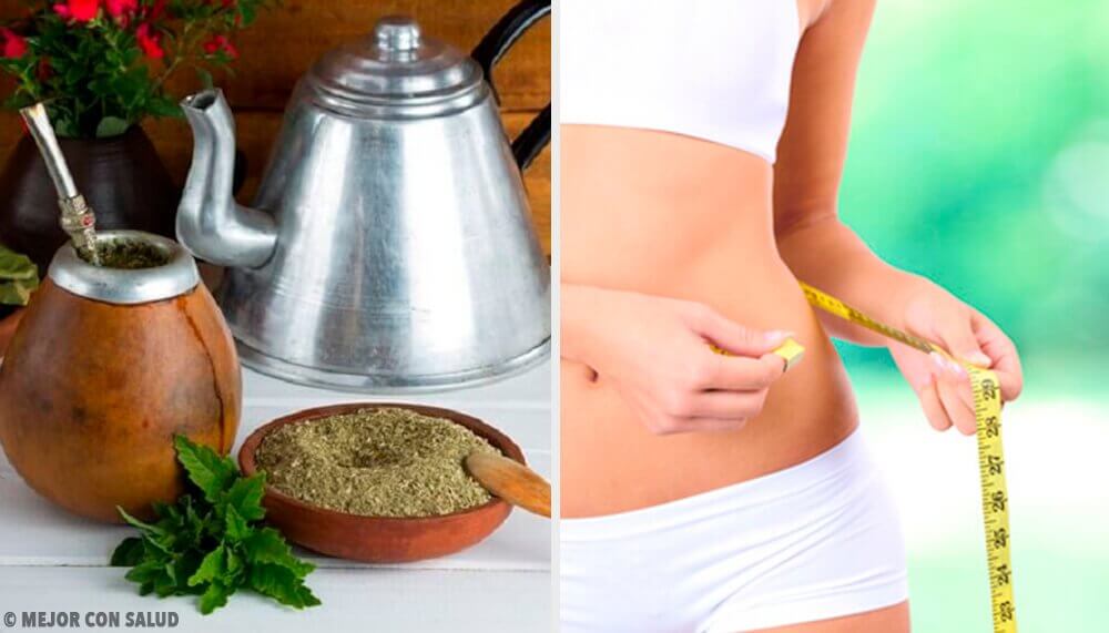 The Benefits of Mate: Can it Help You Lose Weight?