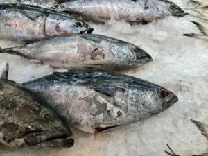 Learn How to Identify Spoiled Fish
