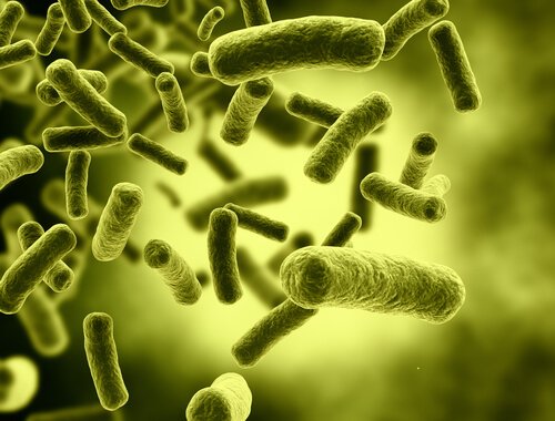 Eliminate toxins