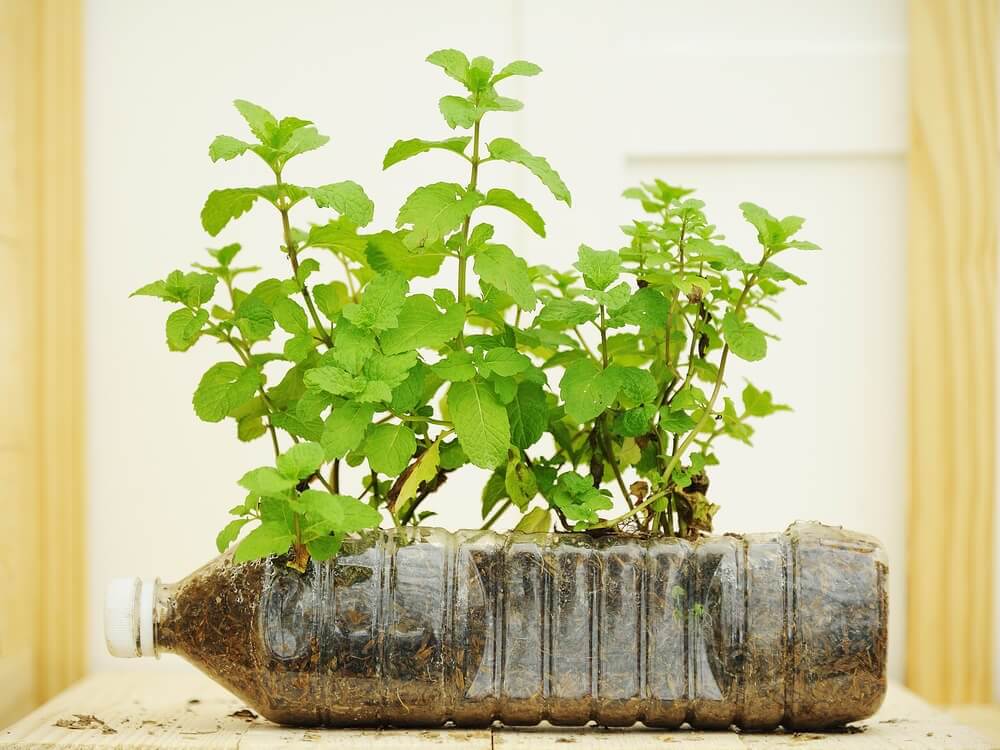 Using plastic bottles