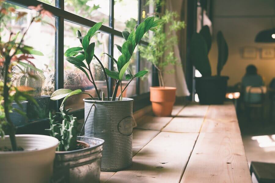 Vintage flower pots made from cans
