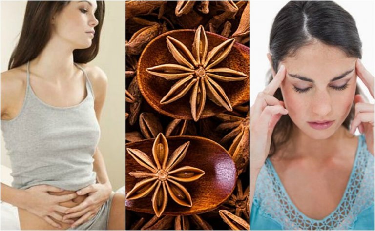 5 Homemade Anise Remedies Worth Knowing About
