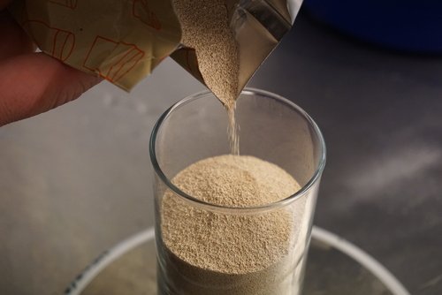 brewer's yeast