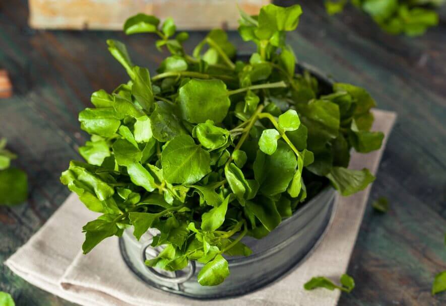 Watercress.