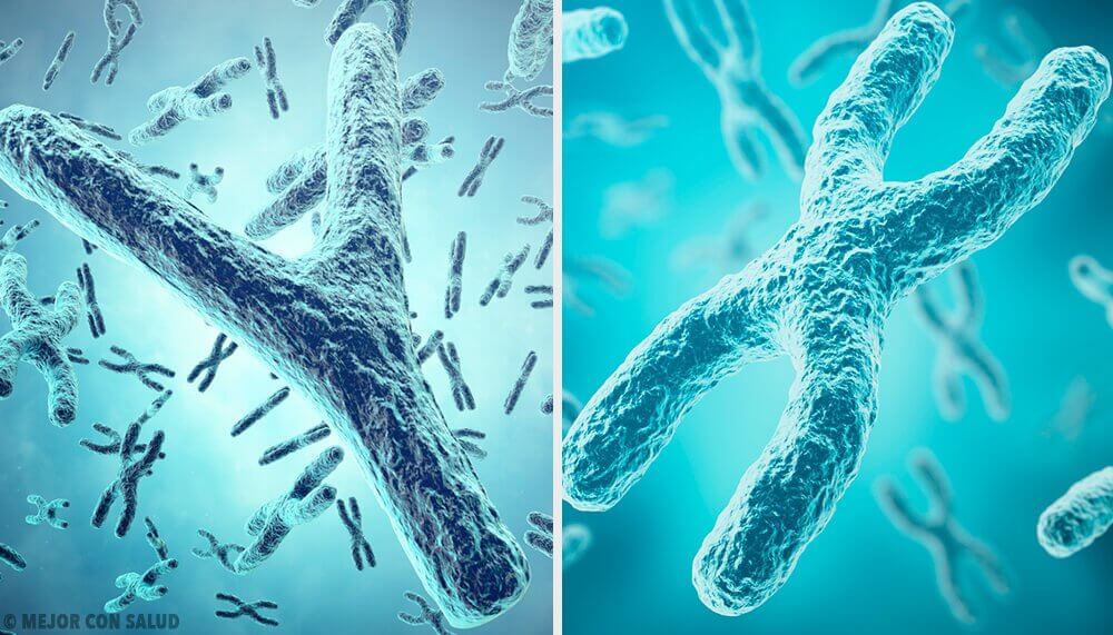 The Genetic Origin of Sex: the X and Y Sex Chromosomes