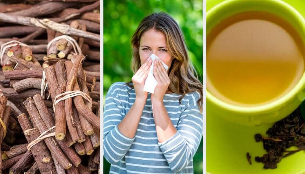 4 Natural Remedies To Fight Against Rhinitis