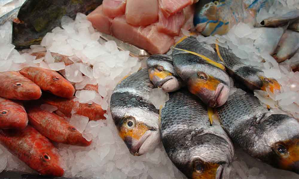 Identify spoiled fish.