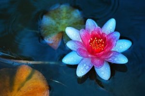 Taoism's Four Rules of Living to Achieve Inner Peace