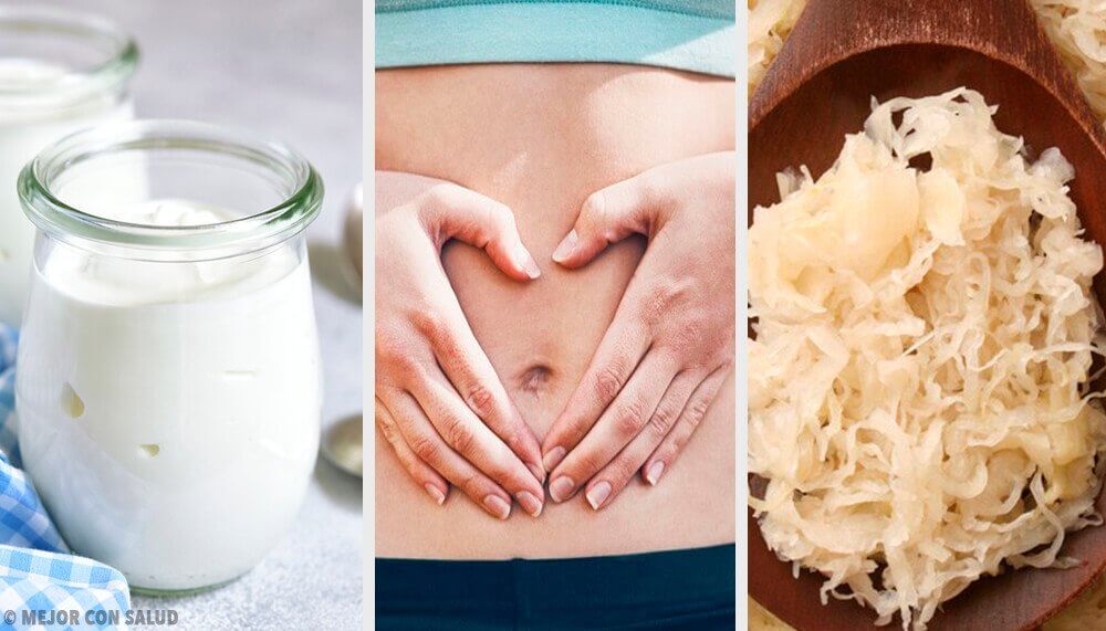 Probiotic Foods for a Healthier Gut Flora Probiotic Foods for a Healthier Gut Flora