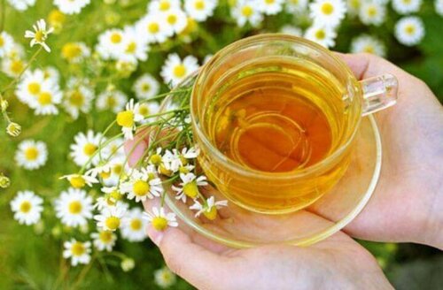 Chamomile can soothe a sensitive scalp.