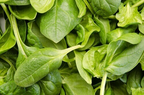Fresh green spinach reduce cancer risk