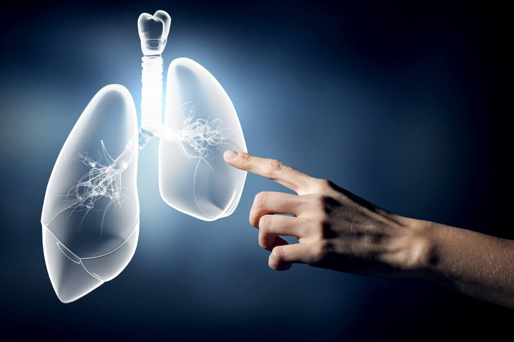 touching lungs on a screen.