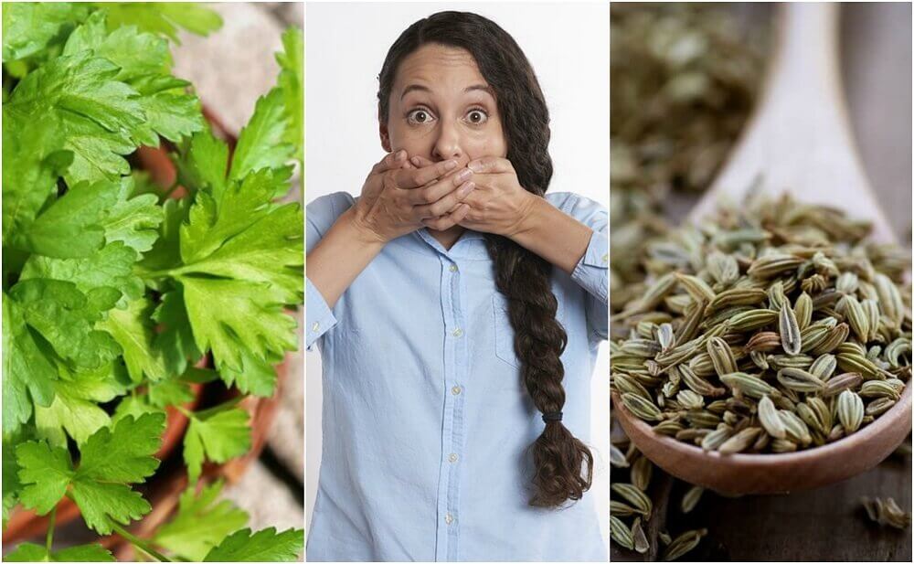 5 Natural Remedies for Gastrointestinal Halitosis