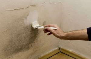 Five Tips For Getting Rid of Moisture in Your Home