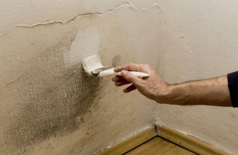 5 Ways To Get Rid of Moisture In Your Home Step To Health